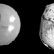 At left the model, and at right an actual human skull. The similarities are striking. (Image: Meaghan Dyer)